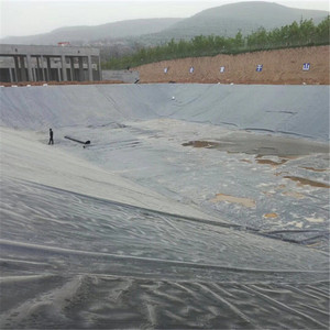 Venta caliente de calidad superior HDPE Geomembranas estanque liner - Product Image 3