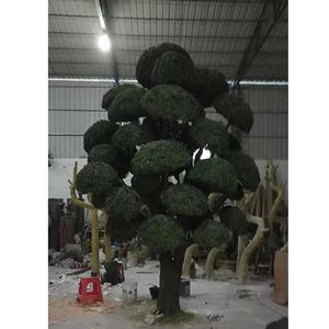 Árvore de pinha artificial grande evergreen, árvore bonsai artificial de <span class=keywords><strong>podocarpus</strong></span>, 400cm de altura, árvore de pinha preta para venda, pinheiro de madeira - Product Image 6