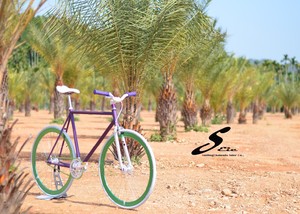 De taiwán hecho de 700c hola-diez con marco de acero de artes fijos de ike - Product Image 6