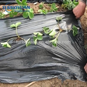 Agricultural Weed Control Soil Covering Mulch Film Black <strong>Plastic</strong> Rolls 10-100 Micron Blow <strong>Molding</strong> Cutting - Product Image 5