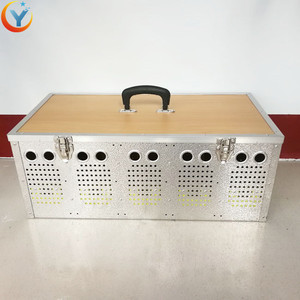 <span class=keywords><strong>Cage</strong></span> <span class=keywords><strong>de</strong></span> <span class=keywords><strong>Transport</strong></span> d'animaux en acier inoxydable, 5 trous, 1 pièce, accessoire pour Animal canaire - Product Image 2