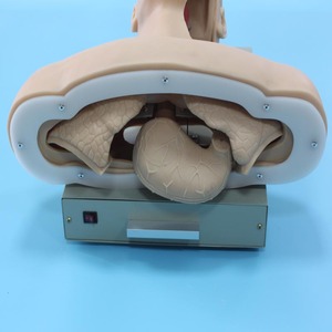Modelo de Maniquim Médico de PVC de Alta Qualidade J4A para Treinamento Avançado de Intubação de Via Aérea em Crianças e Adultos com Tubo Nasogástrico - Product Image 3