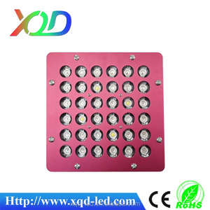 Shenzhen XQD 72 W <span class=keywords><strong>casa</strong></span> verde 3gp rey llevado crece la luz - Product Image 6