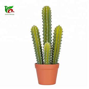 Cactus Artificial Estilo Areg de 50cm para Decoración del Hogar - Product Image 2