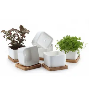 Hot Selling Witte Keramische Bloempot Met Bamboe Lade Tuin Mini Succulent Container