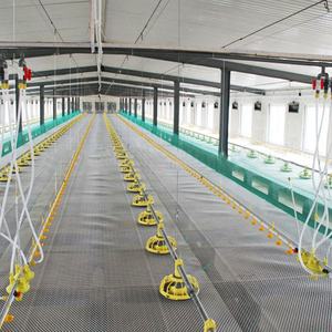 Gallinero <span class=keywords><strong>de</strong></span> gallinas ponedoras con estructura <span class=keywords><strong>de</strong></span> acero <span class=keywords><strong>de</strong></span> nuevo estilo, gallinero para <span class=keywords><strong>mascotas</strong></span> para pollos 30.000 - Product Image 3