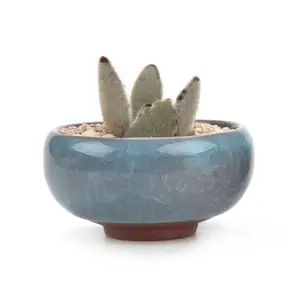 Ocean Blue Ice Crack Zisha Ceramic Succulent Plant Flower Pot