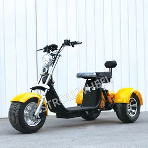 1200w citycoco 전기 스쿠터 1500W citycoco 세 바퀴 전기 스쿠터 강력한 성인 CE 전기 오토바이
