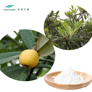 % 100% doğal ürün yenidünya yaprağı ekstresi, <span class=keywords><strong>Folium</strong></span> <span class=keywords><strong>Eriobotryae</strong></span> özü, 98% Ursolic asit - Product Image 4
