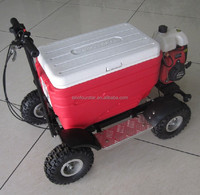 Scooter miniature à essence Fourstar SX-G110 49cc pas cher pour le camping avec une vitesse maximale de 20 km/h et une autonomie de 40 km