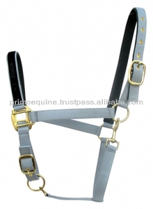 Venta al por mayor: Cabestros de nailon personalizables Primo Equine H-AB-428 para caballo, varios tamaños, accesorio de brida con hebillas de estaño PP - Product Image 2