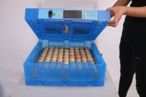 Chất Lượng Cao 64 <span class=keywords><strong>Mini</strong></span> Lồng Ấp Trứng/Tự Động Lồng Ấp 64 Trứng Cho Gà - Product Image 5