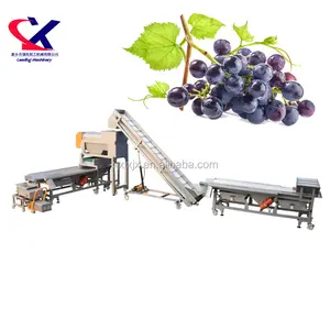 Linha de classificação de grão grande capacidade, processo de seleção para fabricação de vinho