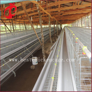 Nouveau design 5 niveaux 200 oiseaux poules pondeuses poulet couche de grillage et chaudière cage avec haute qualité - Product Image 3