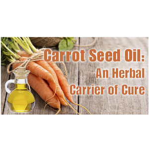 น้ำมันเมล็ดแครอทสำหรับใบหน้าผมผิวกัน<span class=keywords><strong>แดด</strong></span> - Product Image 4