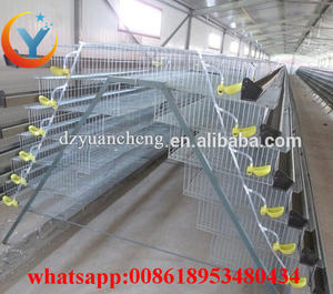 Ventes en gros direct d'usine <span class=keywords><strong>de</strong></span> cages d'élevage <span class=keywords><strong>de</strong></span> cailles à batterie (types H et A, bonne qualité, fabriqué en <span class=keywords><strong>Chine</strong></span>) - Product Image 1