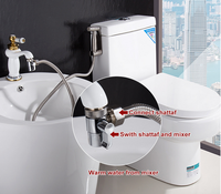Déviateur d'eau de douche, robinet d'évier en laiton, Bidet douche adaptateur T