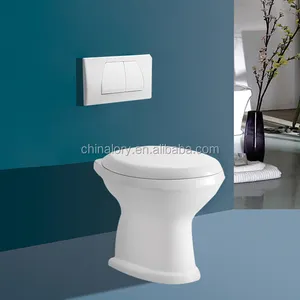 توفير المياه المرحاض نظام فلاشينغ مرحاض من قطعتين خفية خزان حوض مرحاض