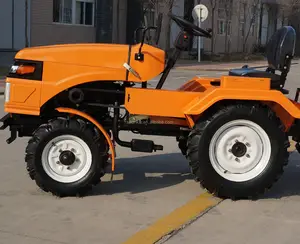 2018 Laatste Goedkope Mini Landbouwtractor