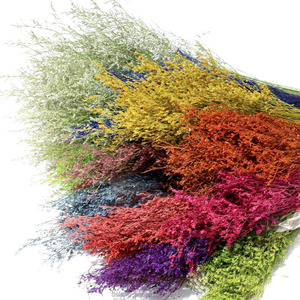 Flor de <span class=keywords><strong>Limonium</strong></span> StaticesinuateL Seca Natural a Precio de Mayoreo - Product Image 4