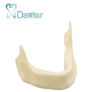 Di alta Qualità Dentale Mandibola Modello con Resina e Spugnoso Osso per gli Studenti Pratica - Product Image 2