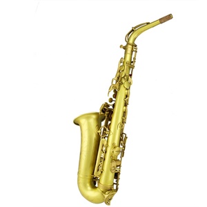 Sassofono Contralto Professionale/Classico, Struttura Robusta, Colore Guscio Giallo, Non Laccato, per Musicisti Jazz - Product Image 2