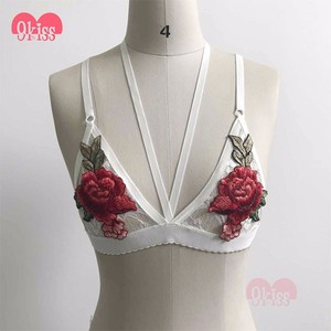Bordado Nuevo Diseño de Encaje Bustier Top Bralette Wholesale - Product Image 3
