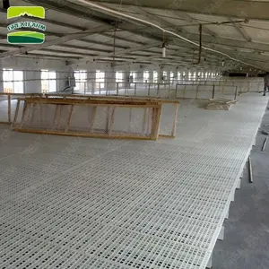 Poultry equipment plastic flooring for sale/slats for chicken sheep goat