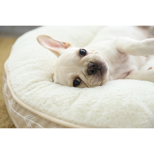 Goede Prijs Wasbaar Luxe Memory Foam Grote Schattige Hond Bed, Hond Memory Foam Bed - Product Image 2