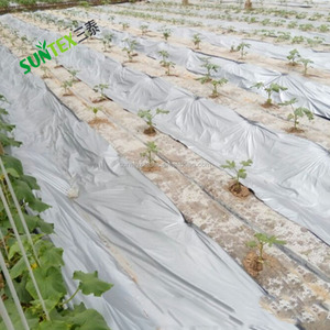 Nhà Máy Giá nông nghiệp Sản phẩm nhựa mulch Black & bạc phản chiếu phim, 100% trinh nữ chất liệu LDPE Weed kiểm soát mulching - Product Image 6