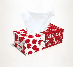 20*20cm 2ply 100% Virgin 200counts Flat Box Facial Tissue