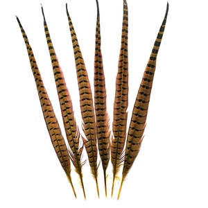 Bán buôn yjxfeather Brazil carnival trang trí 50-55 cm lông Ringneck Trĩ - Product Image 4