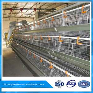 <span class=keywords><strong>Venta</strong></span> <span class=keywords><strong>de</strong></span> pollo <span class=keywords><strong>de</strong></span> cría en jaulas en batería en pakistán - Product Image 5