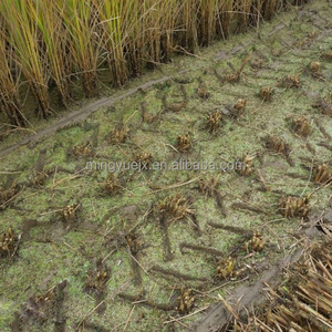 <span class=keywords><strong>The</strong></span> hot selling of small farm equipment - Product Image 6