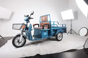 Electric Battery Tricycle Cargo Bike Electric Cargo Tricycle 3 Wheel Cargo Trike