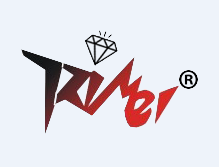 Guangdong Rimei Electronic Technology Co., Ltd. logo