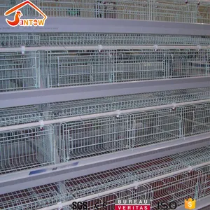 Automatic poultry farm equipments A H type chicken layer cage industrial chicken poultry battery egg laying cage for sale