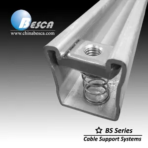 Hot Sale Strut Channel with Spring Nut