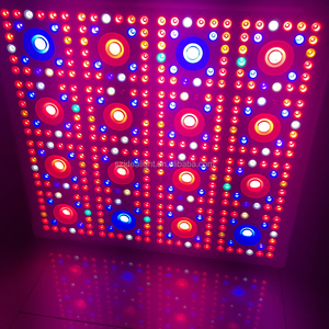 Nouveau design lampe BP800 comme apollo blanc 1000 w cob led élèvent la lumière pour les plantes et fleurs - Product Image 3