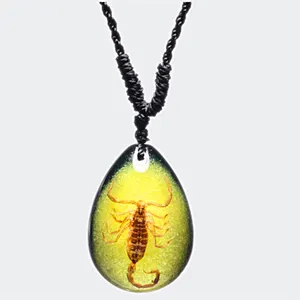 QNC-14 Resina 1 Dollari di Goccia Dell'acqua Scorpion Amber Pendant Necklace