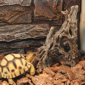 Decorazione per <span class=keywords><strong>Acquario</strong></span> in Resina Artificiale a Forma di Radice d'Albero per <span class=keywords><strong>Tartarughe</strong></span> NS-50, Vendita Calda Nomoy - Product Image 5