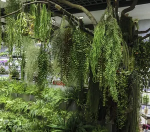 Großhandel kunststoff air gras wand hängen tropical hängen Künstliche dekorative green grass pflanze