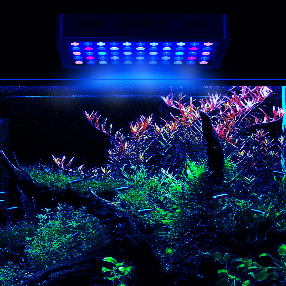 Best販売者165W OEM調光対応hydroponc Chinese Led Aquariumライト水族館ledライト