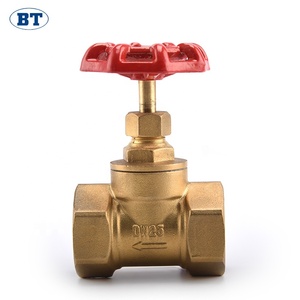 Üstün düşük fiyat pirinç fiş giriş valfi - Product Image 1