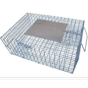 Canlı Kuş Tuzak Kafesleri Satış Magpies Güvercinler Serçeler Kargalar Çin Tedarikçiler - Product Image 1