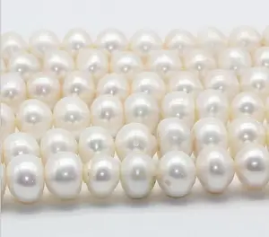 Lowshell — perles rondes et plates 11-12mm, perles naturelles, grande stock de perles naturelles