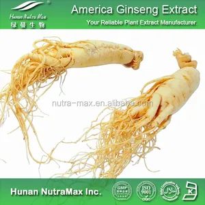 American Ginseng Root Extract Powder With 1%~80% Ginsenosides UV