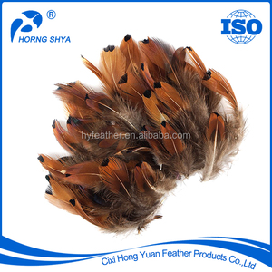 En gros <span class=keywords><strong>Pas</strong></span> <span class=keywords><strong>Cher</strong></span> Naturel et Coloré À <span class=keywords><strong>Collier</strong></span> de Queue de Faisan Plumes - Product Image 5