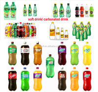 Shani Ligne de production automatique de boissons gazeuses facile à utiliser pour les boissons Remplissage de bière Bouteilles en plastique Cartons en bois Électrique