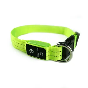 Fluorescente mascotas LED parpadeante Collar personalizado collar TZ-PET2110F